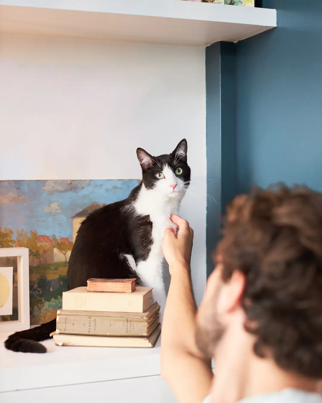Image homme et chat