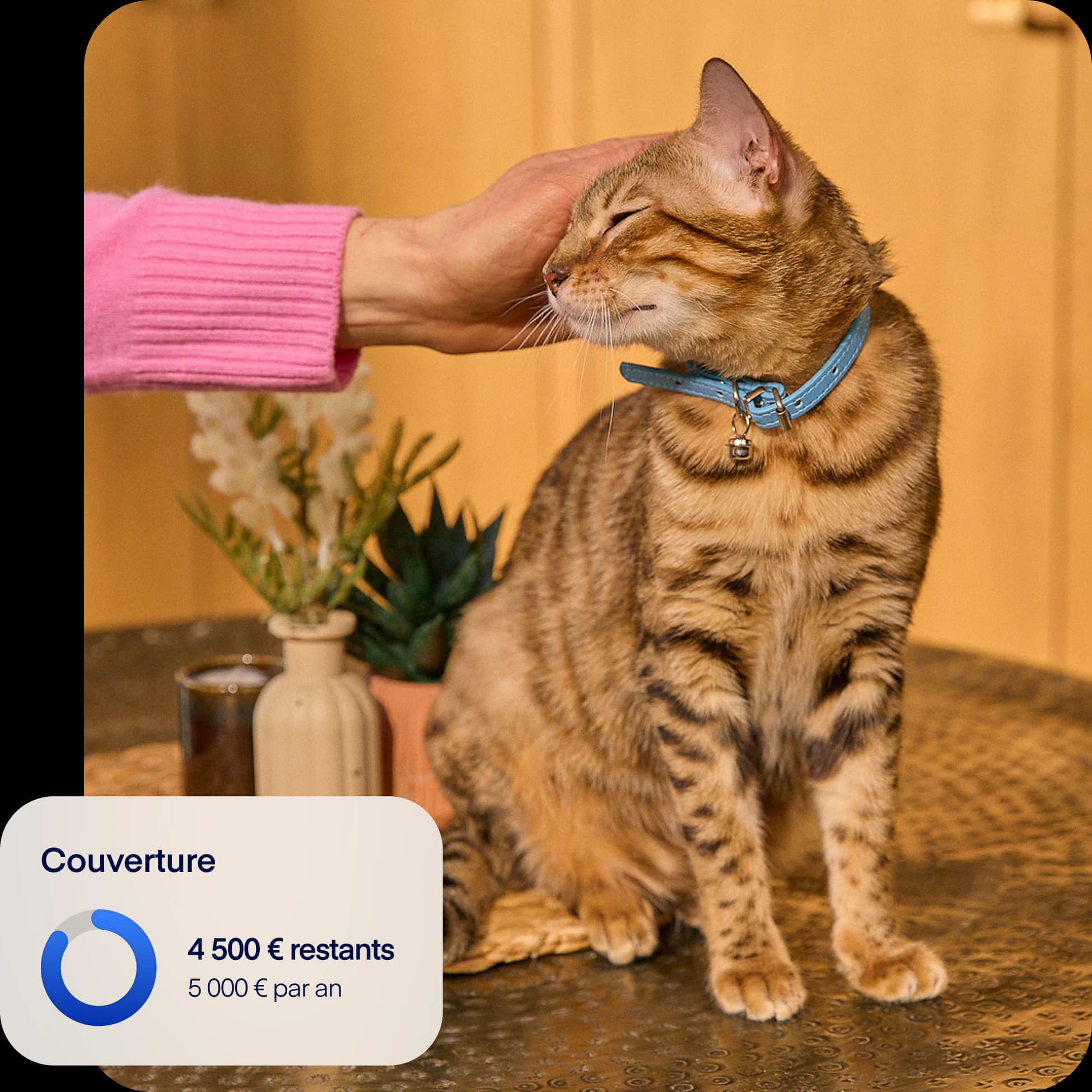 FR-NEW-photo-coverageoverlay-cat-fr