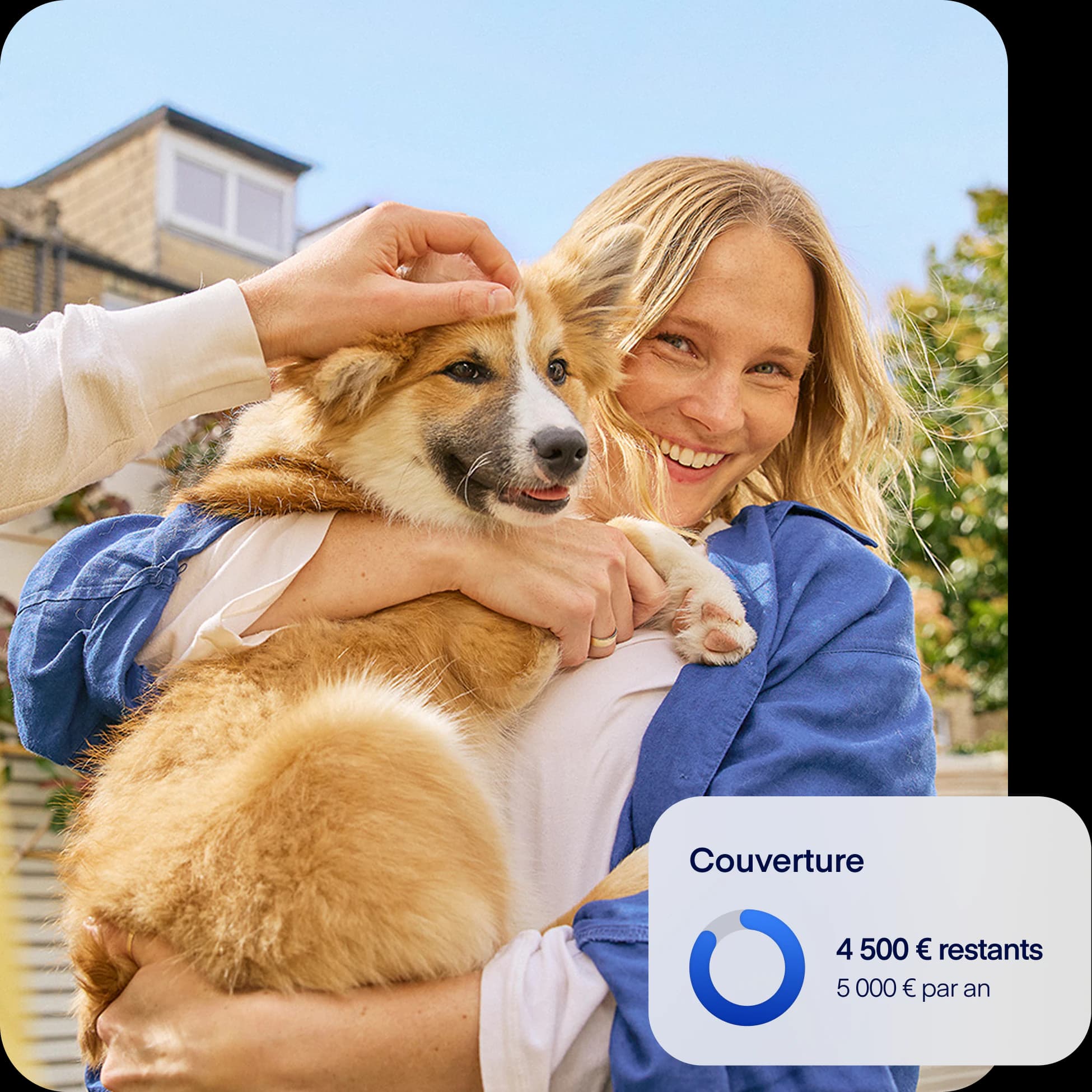 FR-NEW-photo-coverage-overlay-dog-fr